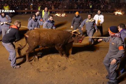 Celebración del Toro del Júbilo en la localidad soriana de Medinaceli