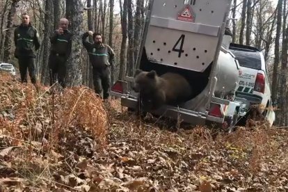 Barniedo corre en libertad