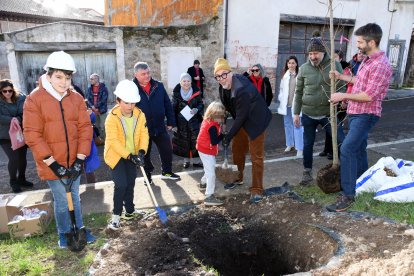 El actor Fele Martínez ya tiene su ejemplar de Ginkgo biloba en Aguilar de Campoo (Palencia)