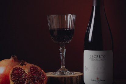 Entrecanales Domecq e Hijos ultima su nuevo proyecto en Ribera del Duero.