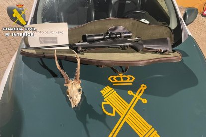 Arma ilegal y un trofeo de un corzo sin precinto