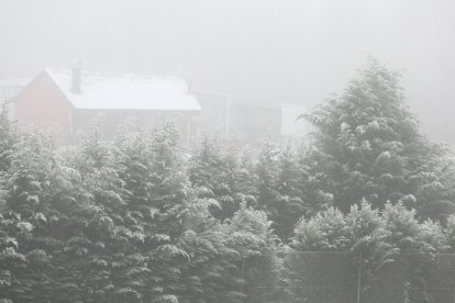 Niebla y frío en una imagen de archivo
