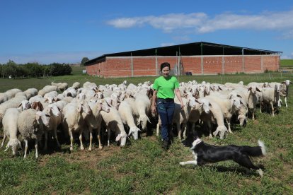 Explotación de ganado ovino de Nerea del Río en la localidad de Robladillo de Ucieza(Palencia).