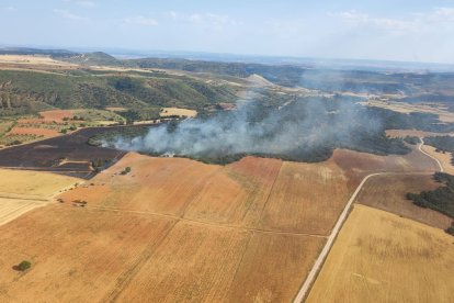 Vista aérea del incendio forestal en Cihuela (Soria).