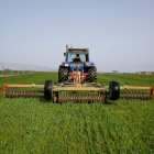 Agricultor de Villanueva del Campo arrodilla con su tractor un cultivo de alfalfa. - ICAL