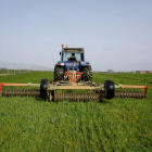 Agricultor de Villanueva del Campo arrodilla con su tractor un cultivo de alfalfa. - ICAL