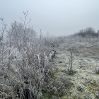Bancos de niebla y heladas durante la jornada del domingo en Castilla y León - E.M.