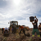 Un equipo de temporeros recoge patatas en una finca de la localidad soriana de Añavieja. / concha ortega / ical