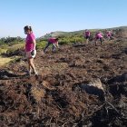 Participantes en programas de voluntariado ambiental de la Junta.- JCYL