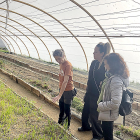 Participantes del programa formativo visitan un invernadero.