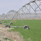 Campos de Florette en Olmillos