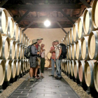 Visita guiada en una bodega de la DO Bierzo, en León. ICAL