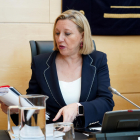 La consejera de Familia e Igualdad de Oportunidades, Isabel Blanco, informa a las Cortes sobre el grado de cumplimiento de los objetivos de su departamento.