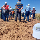 Visita de un grupo de agricultores a los campos de ensayo de UPA Burgos en Castrillo de Solarana.