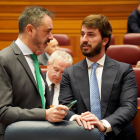 David Hierro y Juan García-Gallardo en las Cortes.