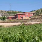 Bodega Cantovera