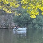 Búsqueda del joven refugiado desaparecido en el Duero en Soria
