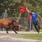 Imagen de archivo del Toro de la Vega 2024 de Tordesillas, donde un participante resultó corneado.