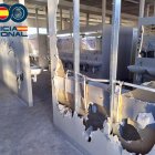 Estado en el que quedaron los baños del recinto ferial tras el destrozo de los jóvenes.