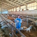 Lourdes Salcedo posa en su granja de Olmillos de Sasamón, en Burgos.