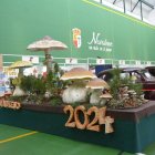 XXXII Jornadas Micológicas de Navaleno