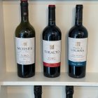 Vinos de Heredad de Urueña participantes en Expovina