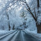 Las nevadas comienzan en Castilla y León.