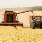 Una cosechadora deposita el grano en el remolque de un tractor. PXB CCO