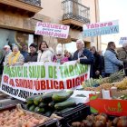 La secretaria de organización del PSOECyL, Ana Sánchez, asiste a la concentración en defensa de la Sanidad de la comarca de tábara (Zamora). ICAL