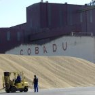 Cereal almacenado en la Cooperativa Bajo Duero, Cobadu, en la localidad zamorana de Moraleja en imagen de archivo