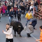 Toro de San Sebastián en Ciudad Rodrigo (Salamanca). ICAL