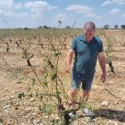 José Luis en uno de sus viñedos afectados por el pedrisco.