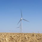 Molinos eólicos en Tierra de Campos.