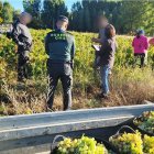 Imagen dse archivo de una operación de la guardia civil.