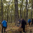 Recolectores de setas en un bosque de Castilla y León.
