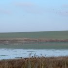 Humedal de Bodón Blanco, en Bocigas (Valladolid)