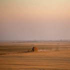 Tierras de cultivo de cereal en Tierra de Campos