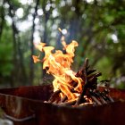 La normativa prohíbe el encendido de barbacoas en zonas de monte o próximas hasta el 12 de octubre.