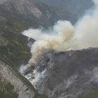 Incendio de gravedad 1 en Canseco (León) con una veintena de medios desplegados