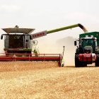 Una cosechadora arroja el grano en un remolque conducido por un tractor en una explotación agraria.