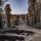 Municipio de la La Adrada (Ávila) tras el paso del incendio de Burgohondo