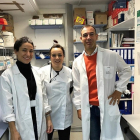 Manuel Sánchez junto a sus compañeras Patricia y Lucía en el laboratorio de Transgénesis de la Universidad de Salamanca. - E.M.