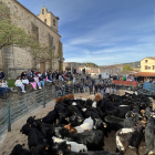 IX feria del Herradero Tradicional en San Martín de la Vega del Alberche. -Ricardo Muñoz-Martín