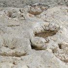 Imagen de las huellas encontradas en Quintanilla de las Viñas, en Burgos. - EM