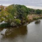 El río Duero a su paso por Zamora. - ICAL