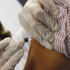 Personal sanitario aplicando una vacuna. / E. M.
