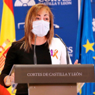 La procuradora del Grupo parlamentario Ciudadanos, María Teresa Gago. ICAL