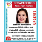 Buscan a una niña de 13 años desaparecida en Soria el pasado 28 de febrero.- ICAL