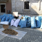 Proyecto Orbanajo deposita ante el Ayuntamiento de Ponferrada los más de 300 kilos de basura recogidos del entorno del río Sil. - ICAL
