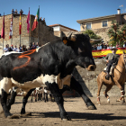 XIX Feria del Caballo de Ciudad Rodrigo